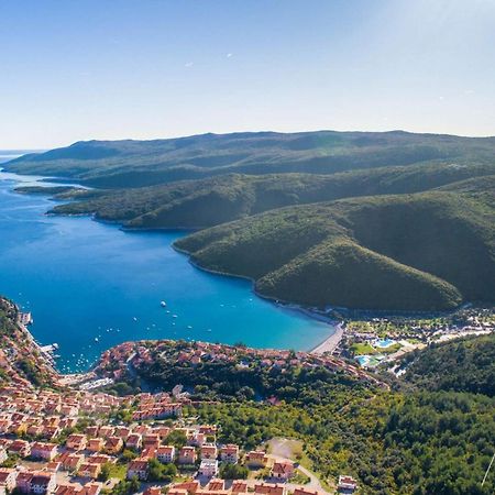 Apartment Gaia Labin  Dış mekan fotoğraf